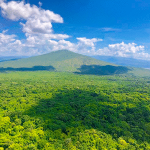 Nechisar National Park