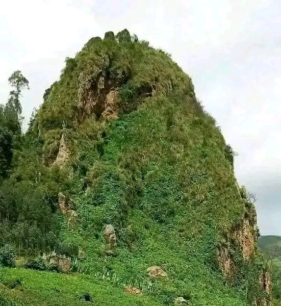 Rakko-mounten