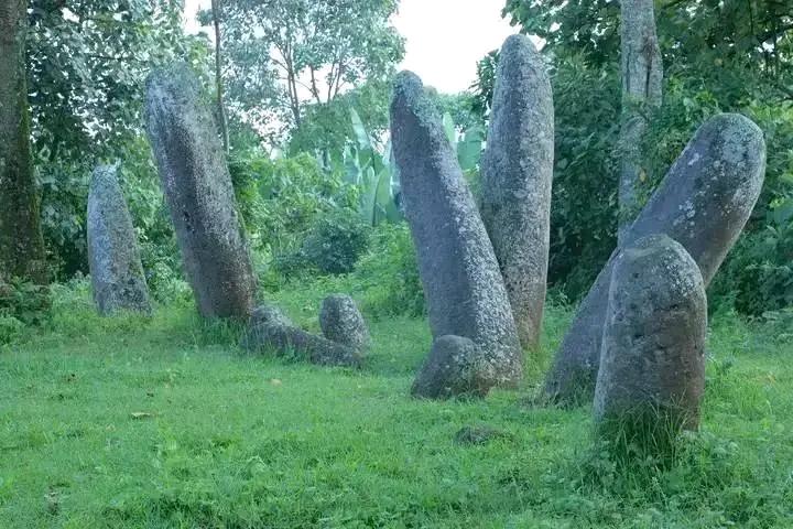 Sakaro-sodo