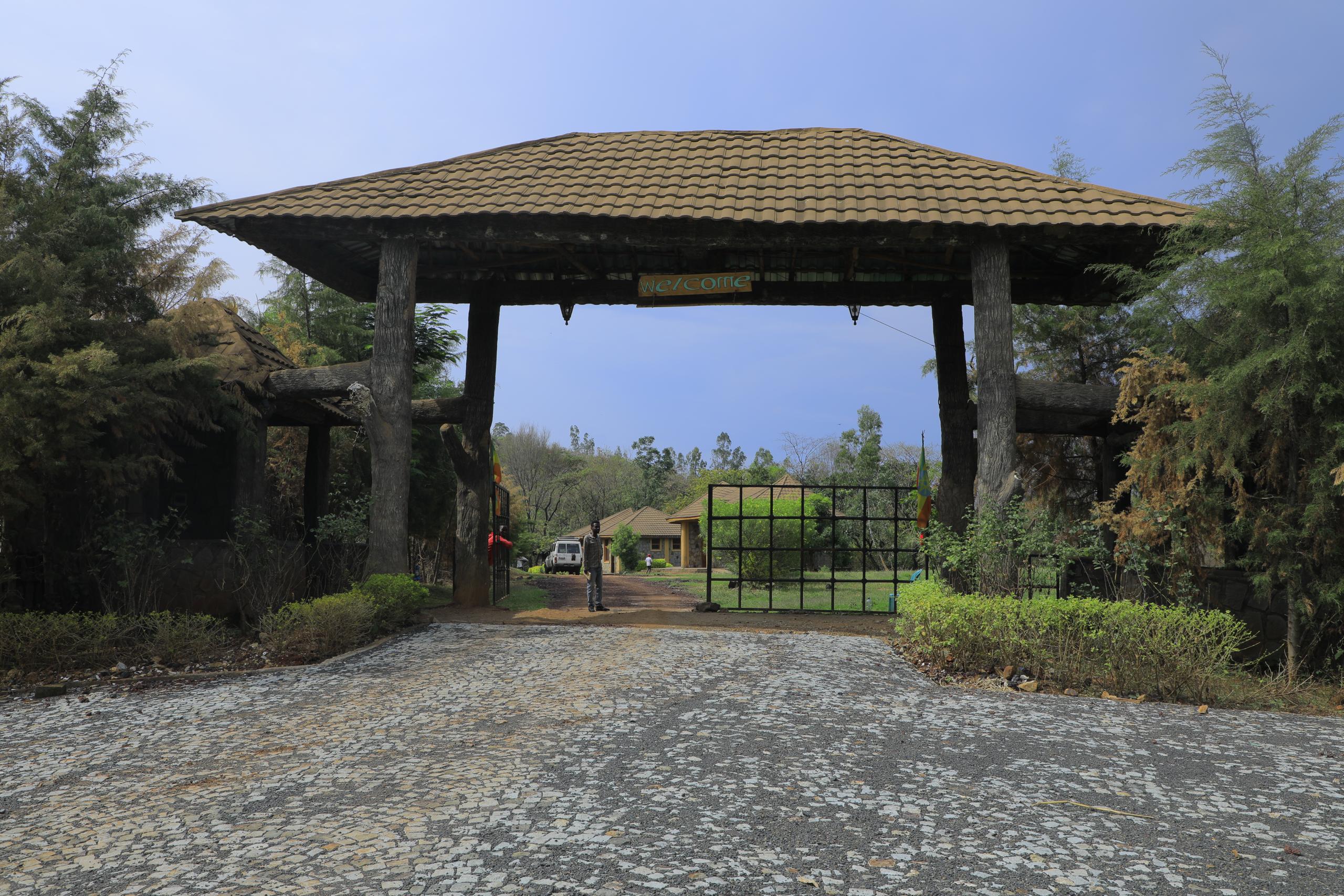 Saron lodge dilla