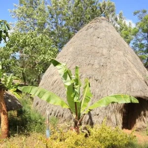 Burji-Cultural-Museum