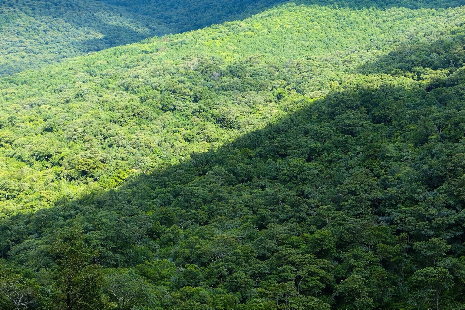 Buska Protected Forest