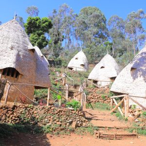 Dorze Traditional Village