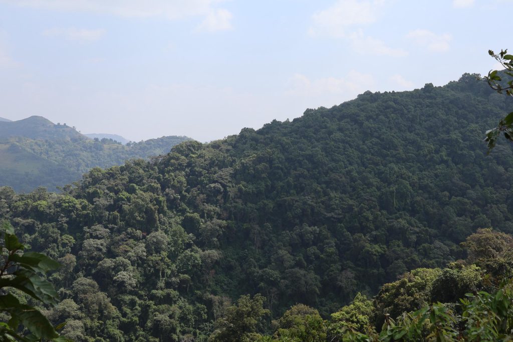 Gezha Protected Forest