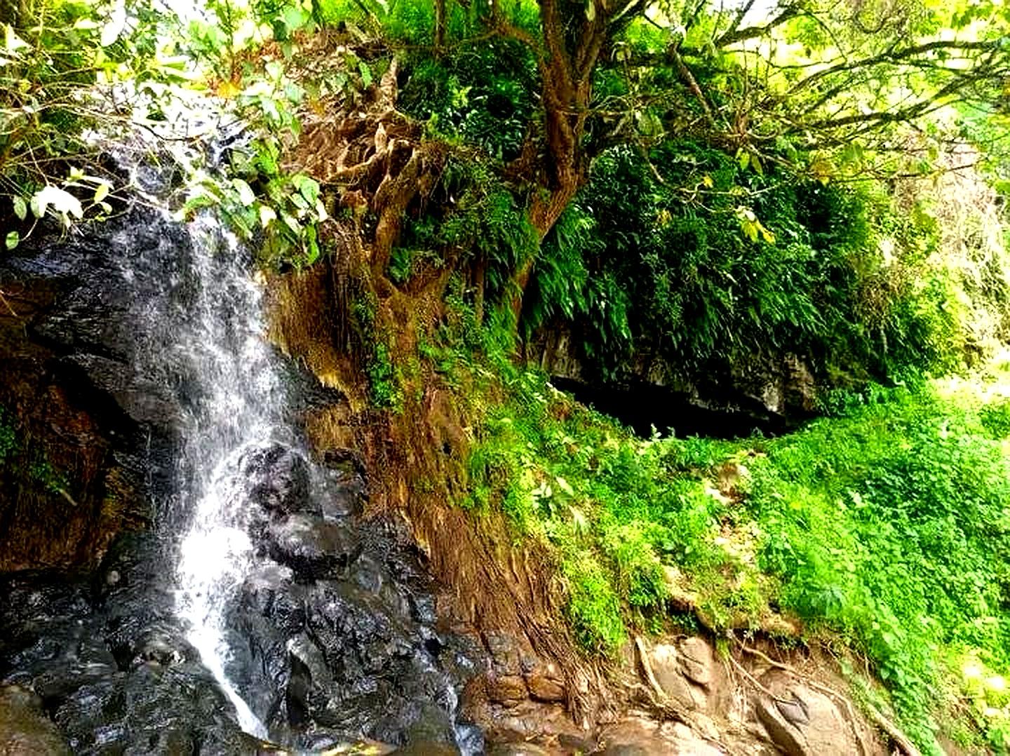 Gore Gojo Seli Cave & Zigo Waterfall