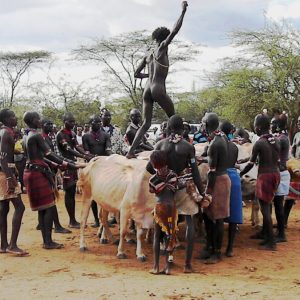 Hamer bull jumping