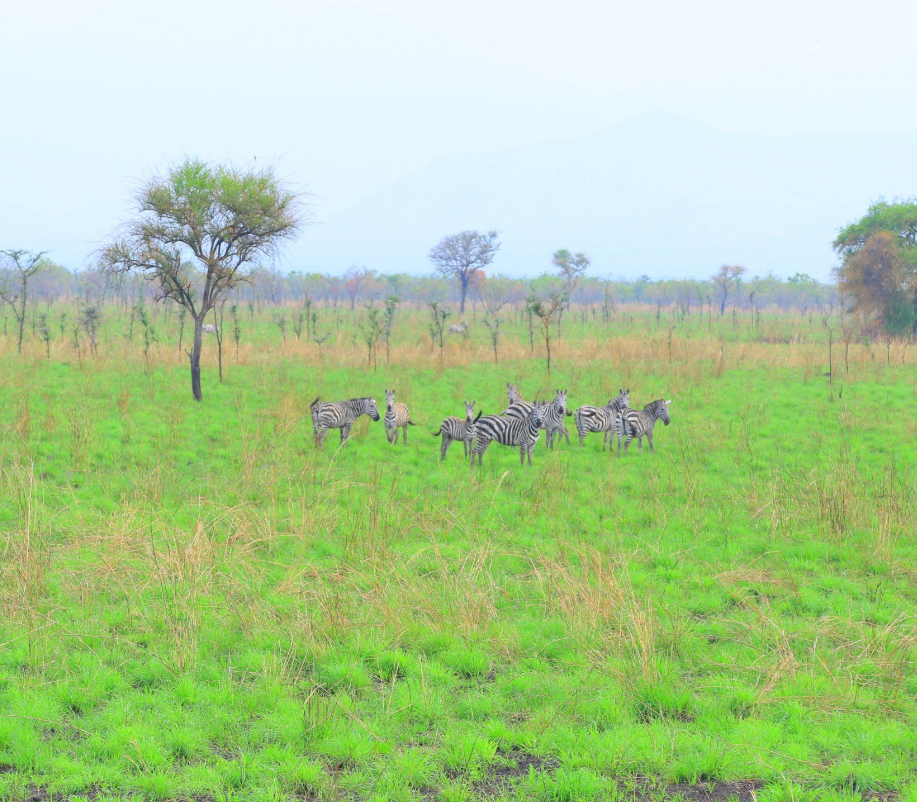 Tama Community Wildlife Conservation Area