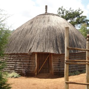 Transition-Museum