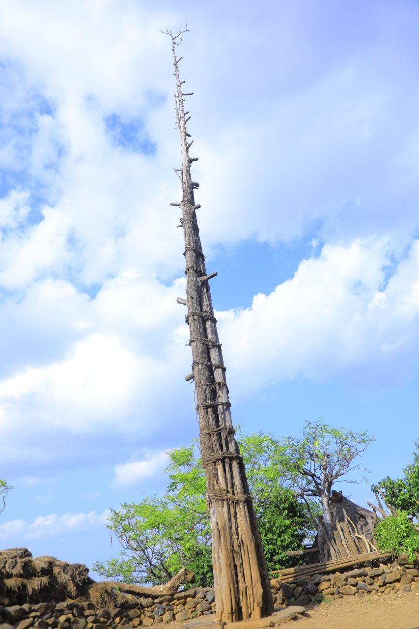 Olahita (Generation Pole)