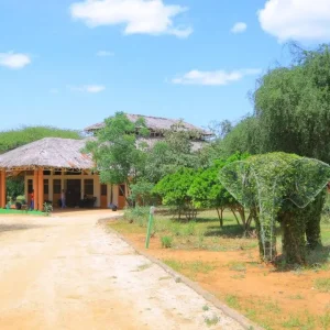 Paradise-lodge-turmi